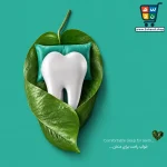 خمیردندان پمپی گیاهی میسویک مدل هربال بدون فلوراید حجم ۱۸۵ میلیلیتر - Image 4