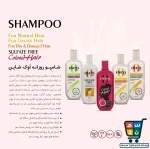 شامپو مو اوک شاین مدل رزماری و روغن آرگان حجم ۴۰۰ میلی لیتر - Image 5
