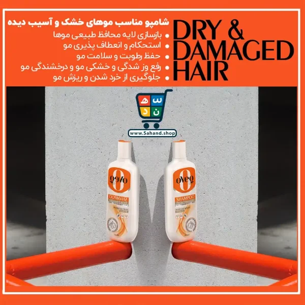 شامپو مو اوک شاین مدل رزماری و روغن آرگان حجم ۴۰۰ میلی لیتر - Image 4